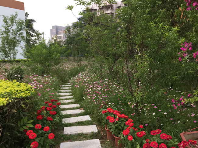 1558425908940681.jpg 201612221535592234 (1).jpg